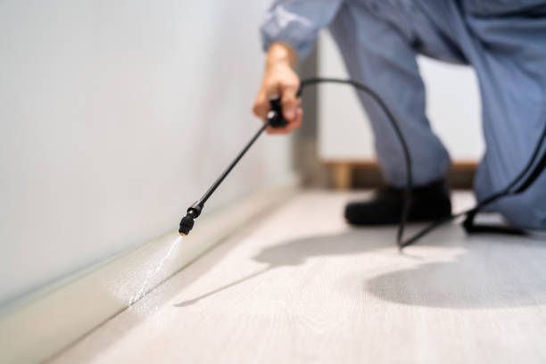 Licensed Pest Control service in Fayetteville, WV - Show Me Pest Control